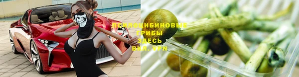 спиды Балахна