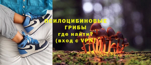 ГАЛЛЮЦИНОГЕННЫЕ ГРИБЫ Аркадак