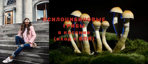 ГАЛЛЮЦИНОГЕННЫЕ ГРИБЫ Аркадак